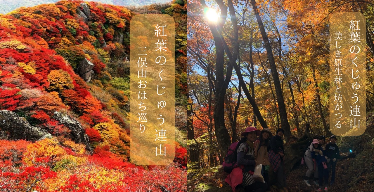 紅葉のKUJU TREKKING　募集チラシ